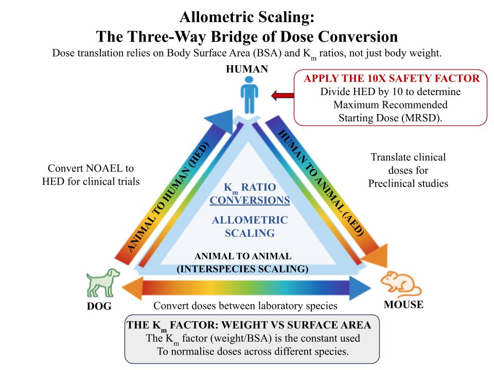 Dose Diagram